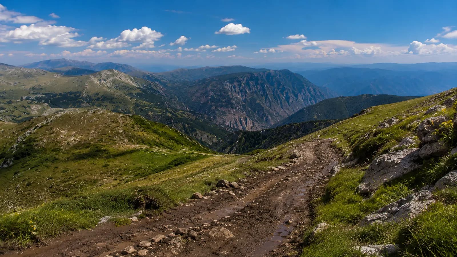 Tara Canyon route experience landscape